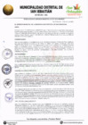 Vista preliminar de documento RGM-021-2023-MDSS