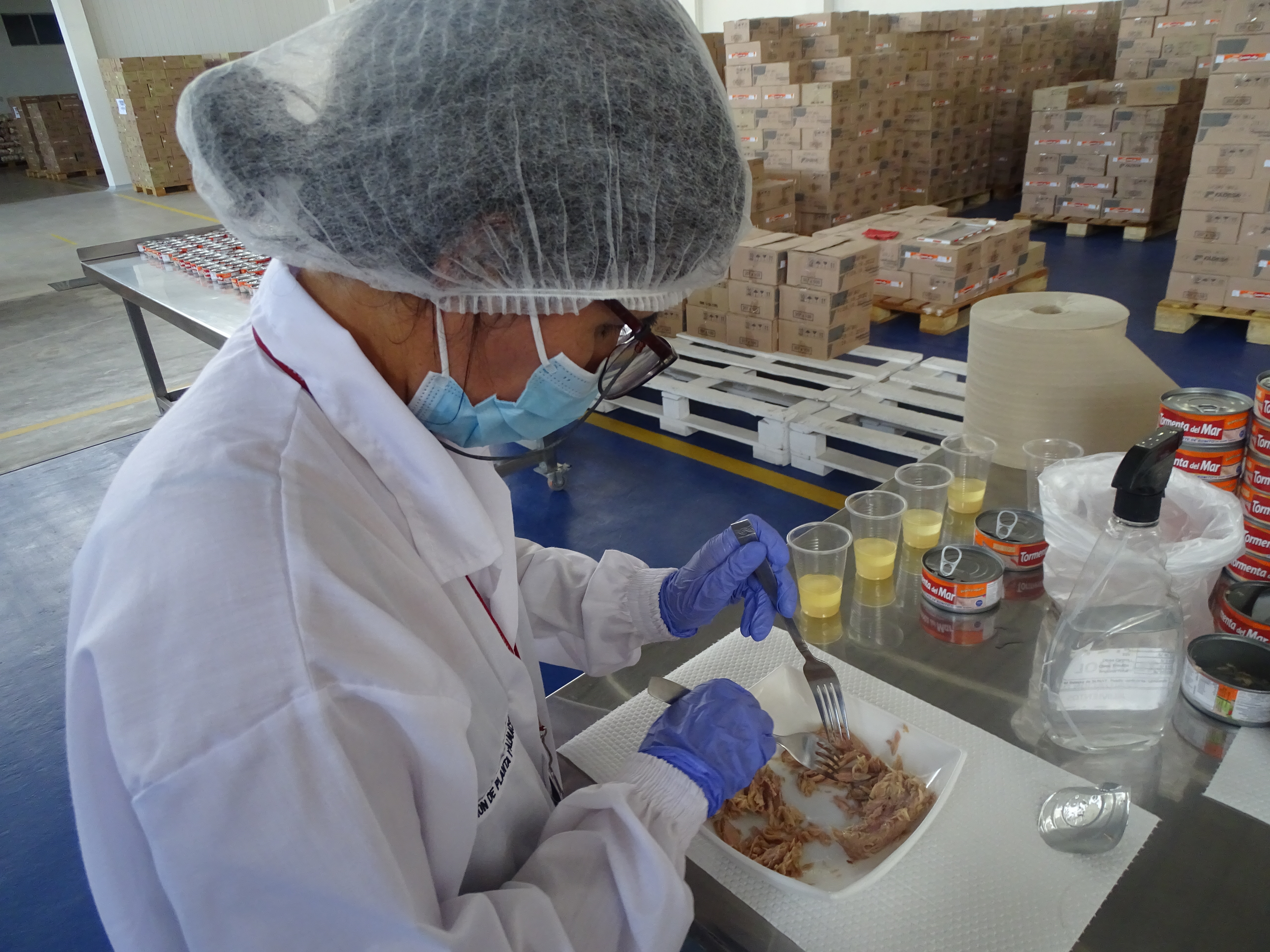 Servicio alimentario escolar