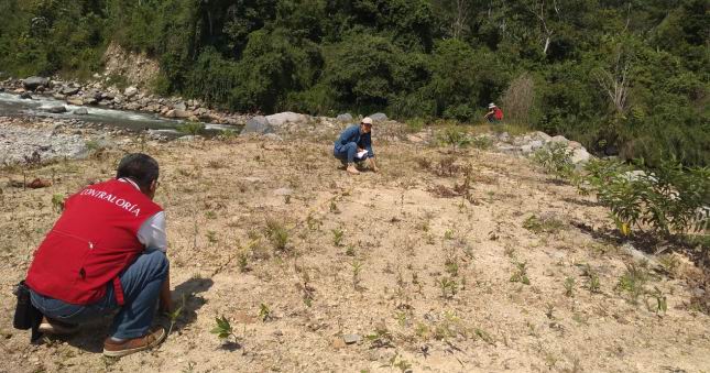 Contraloría evidencia colapso de espigones en obra de protección de colegio en Tocache