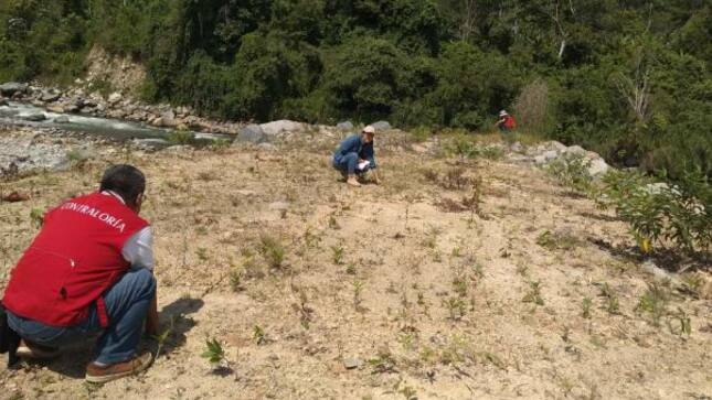 Contraloría evidencia colapso de espigones en obra de protección de colegio en Tocache