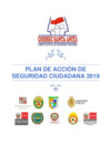Vista preliminar de documento Plan de acción de seguridad ciudadana 2019 del distrito de Santa Anita