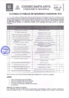 Vista preliminar de documento ACTA: III Consulta publica de seguridad ciudadana 2019
