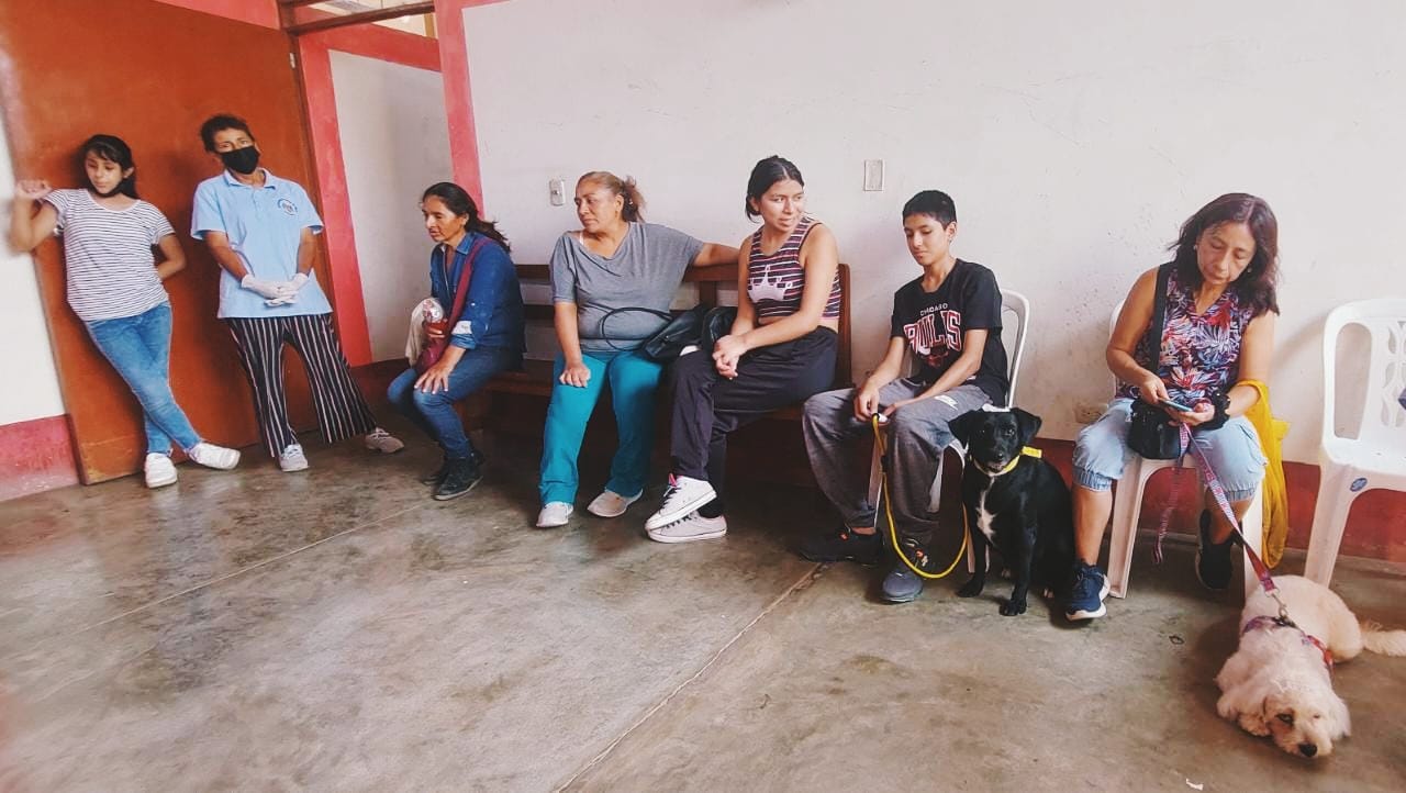 Con éxito se desarrolla la campaña de esterilización de canes y gatos