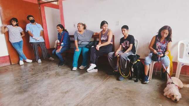Con éxito se desarrolla la campaña de esterilización de canes y gatos