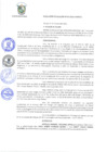 Vista preliminar de documento r56