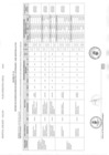 Vista preliminar de documento pt4 pdf