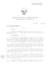 Vista preliminar de documento Rectificación de Resoluciones de la Dirección de Inteligencia Nacional