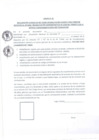 Vista preliminar de documento anexo 01