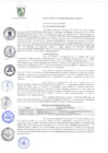 Vista preliminar de documento r89