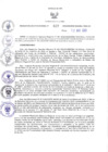 Vista preliminar de documento RES-417-2023