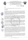 Vista preliminar de documento RESOLUCION N°113
