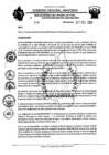 Vista preliminar de documento RESOLUCION N°114