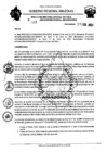 Vista preliminar de documento RESOLUCION N°119