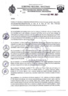 Vista preliminar de documento RESOLUCION N°132