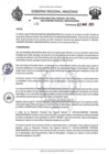 Vista preliminar de documento RESOLUCION N°133