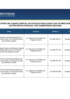 Vista preliminar de documento Directorio del Equipo Especial de Fiscales para casos con víctimas durante las protestas sociales, con competencia Nacional (1)