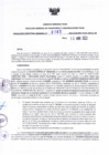 Vista preliminar de documento RDR N° 0161-2023-12-04-2023