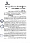 Vista preliminar de documento RGGR-003-2022