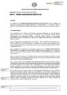 Vista preliminar de documento RDE-000051-2023-DE
