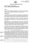 Vista preliminar de documento RDE-000067-2023-DE