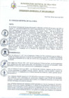 Vista preliminar de documento Ordenanza Municipal 005-2023