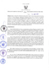 Vista preliminar de documento RES-294-2023-GRDS