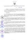 Vista preliminar de documento RES-296-2023-GRDS