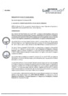 Vista preliminar de documento R.A.Nº0019-2023.pdf