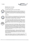 Vista preliminar de documento R.A.Nº052-2023.pdf