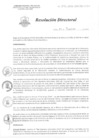 Vista preliminar de documento RD046 pdf 