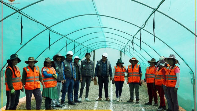 La Municipalidad Distrital de Colquemarca a través de la Sub Gerencia de Desarrollo Económico Local, se complace en informar sobre el avance del PROYECTO: "RECUPERACIÓN DE ECOSISTEMAS DEGRADADOS A TRAVÉS DE ESTABLECIMIENTO DE PLANTACIONES PROTECTORAS - PRODUCTORAS Y MANEJO DE SUCESIÓN NATURAL EN LAS COMUNIDADES CAMPESINAS DEL DISTRITO DE COLQUEMARCA, CHUMBIVILCAS - CUSCO".
El vivero municipal Qarqanto ha iniciado los trabajos con el personal técnico y obrero, realizando el lavado de bandejas P-96, lavado de tubetes T-115, desinfección de bandejas P-96 y desinfección de tubetes T-115, con el objetivo de eliminar posibles contaminantes y asegurar la calidad de las plantas. Posteriormente, se ha procedido al llenado de sustrato MECPLANT 25Kg, Forestal 3, en el cual se están instalando semillas de Pino (Pinus Radiata) de alta calidad genética en contenedores de polipropileno de producción, como bandejas P-96 y tubetes T-115.
Cabe resaltar que el personal que labora en los viveros son principalmente mujeres colquemarquinas que con su trabajo y esfuerzo diario, llevan el sustento a su hogar.
El Ing. Samuel Domínguez Pfoccori residente del proyecto, nos ha informado que hasta la fecha se han instalado un total de 68,000 unidades de pinos de la variedad Radiata, proyectándose instalar 220,000 unidades adicionales a fines del mes de abril. Estas plantas serán distribuidas entre los beneficiarios de las 11 comunidades y 24 anexos del Distrito de Colquemarca.
Este proyecto brinda una serie de beneficios, entre los que destacan:
 Rentabilidad ambiental y social.
 Provee una cubierta vegetal que permite sembrar agua.
 Favorece a la recuperación de los suelos degradados.
 Son excelentes productores de hongos comestibles.
 Se adaptan a los suelos del trapecio alto andino.
 Ayudan a contrarrestar el cambio climático.
 Contribuyen a la adaptación al cambio climático.
 Incrementan la fertilidad de los suelos y retención de humedad.
 Promueven la siembra de agua.
 Contribuyen a la captura de carbono.
La Municipalidad Distrital de Colquemarca agradece el compromiso y dedicación del personal técnico y obrero involucrado en el proyecto, así como el apoyo de la comunidad en la recuperación de los ecosistemas degradados en la zona. Este esfuerzo conjunto contribuye al desarrollo sostenible del distrito y al bienestar de sus habitantes.
¡Colquemarca, un nuevo comienzo con oportunidades para todos!
Prof. Santos Oviedo Ataucuri - Alcalde
Gestión 2023 - 2026

