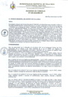 Vista preliminar de documento Acuerdo de Concejo 038-2023