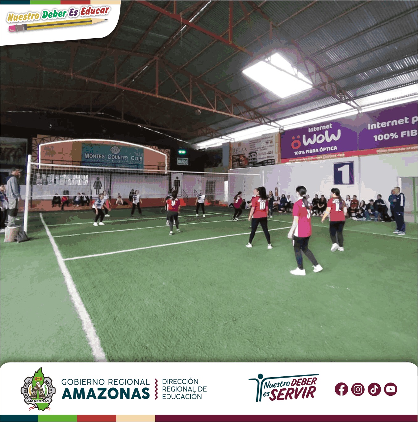 Gráfica 5