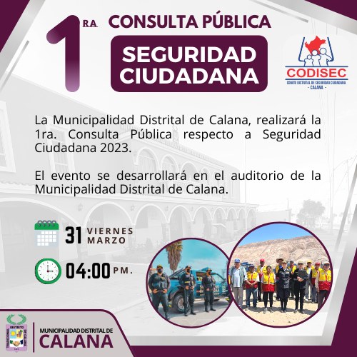 Flyer Consulta Pública CODISEC Calana 2023