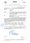 Vista preliminar de documento OFICIO MÚLTIPLE N° 394 - 2019