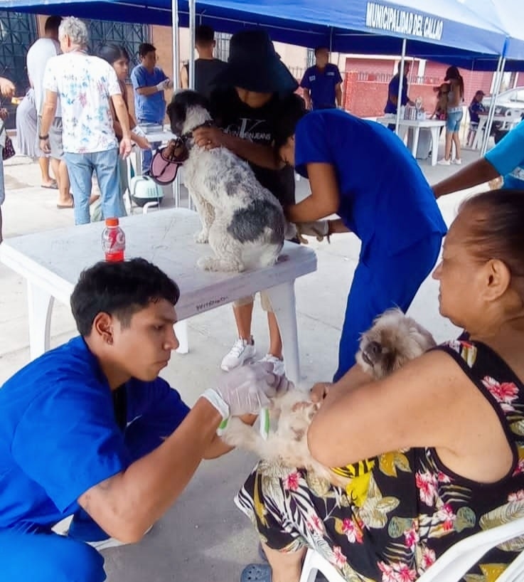 Atendimos a más de 250 mascotitas en Santa Marina Sur.