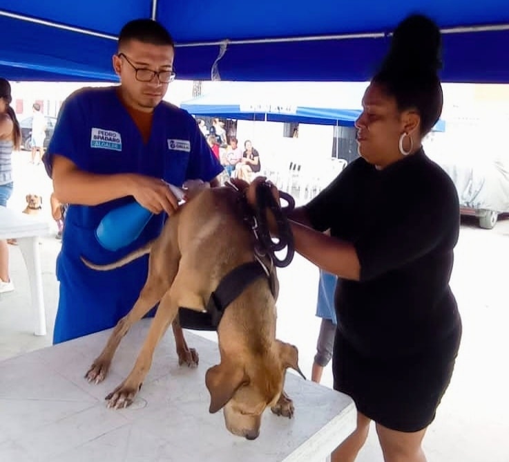 Atendimos a más de 250 mascotitas en Santa Marina Sur.