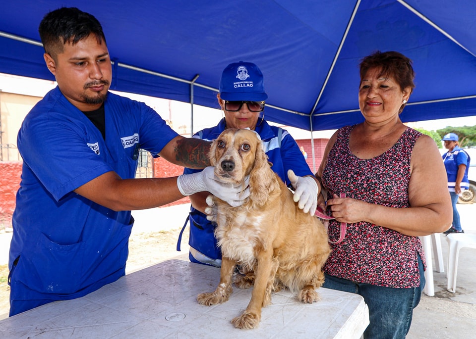 Atendimos a más de 250 mascotitas en Santa Marina Sur.