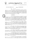 Vista preliminar de documento Resolución Subgerencial de Patrimonio y Servicios Generales
