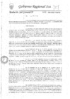Vista preliminar de documento Resolución Subgerencial de Patrimonio y Servicios Generales