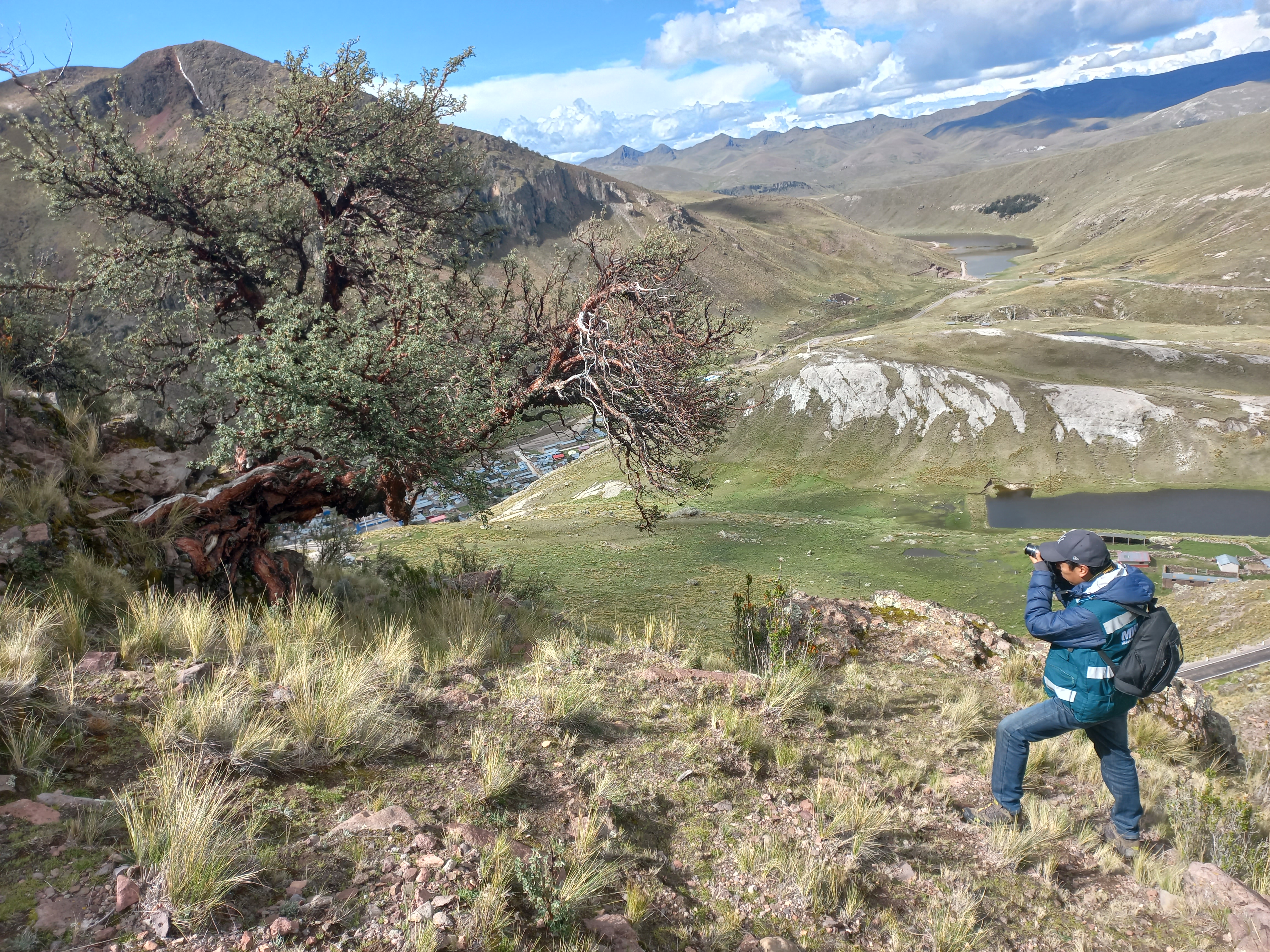 puno3