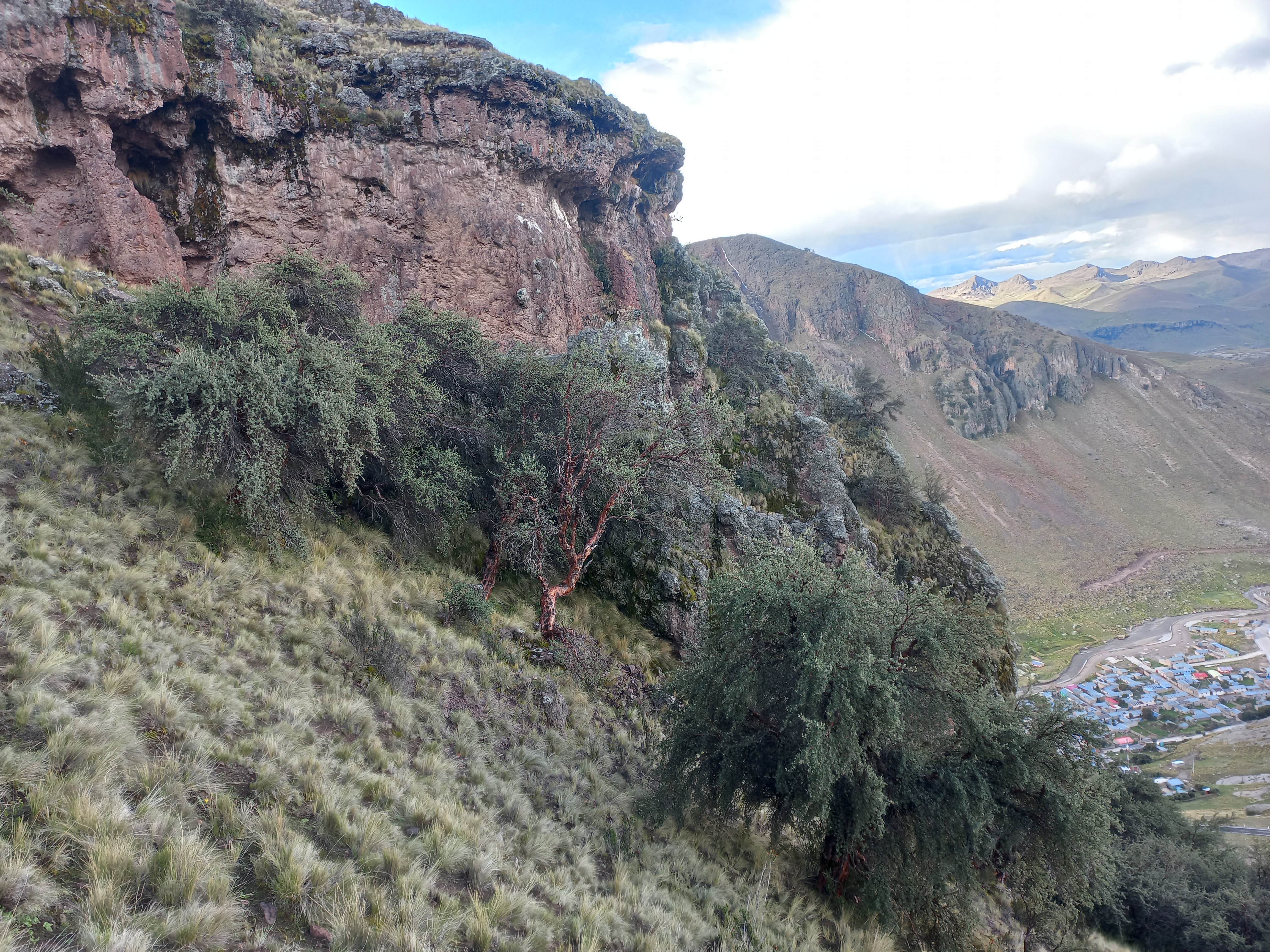 puno4