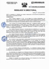 Vista preliminar de documento ResoluciónDirectoral-N021-2023-DIRESA