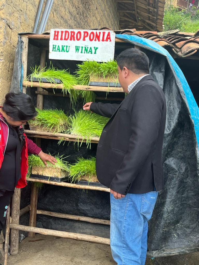 Mejorar la Calidad de Vida de los Pequeños y Medianos Agricultores de Cajabamba