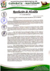 Vista preliminar de documento RESOLUCION-DE-ALCALDIA-Nº116