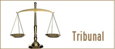 Reveló el Tribunal de Contrataciones del Estado.