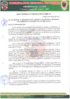 Vista preliminar de documento 06