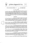 Vista preliminar de documento Resolución Subgerencial de Patrimonio y Servicios Generales