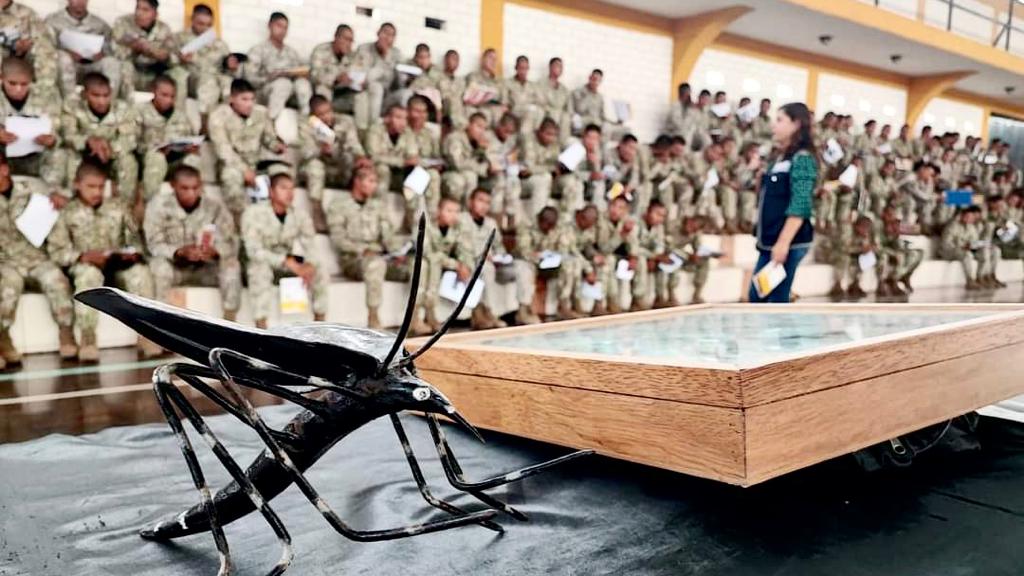 Minsa: personal de salud de Sanidades de FFAA, clínicas privadas y EsSalud fortalecerán las acciones de vigilancia contra el dengue