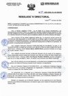 Vista preliminar de documento ResoluciónDirectoral-N027-2023-DIRESA